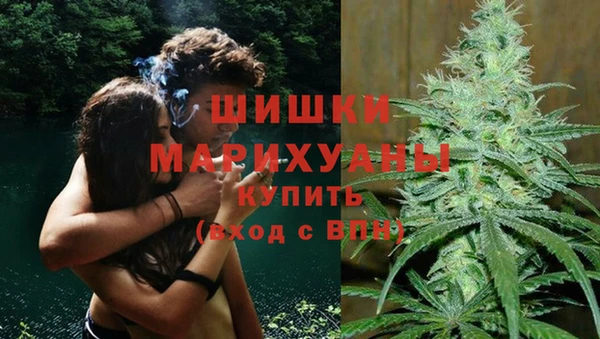 PSILOCYBIN Няндома