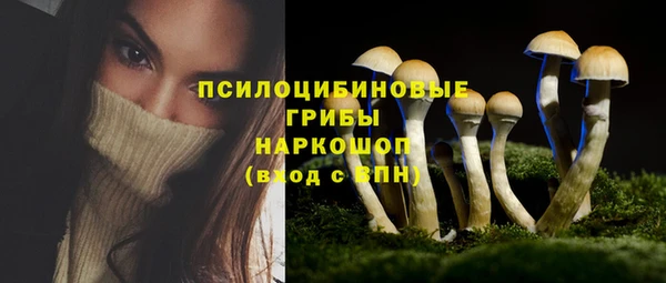 твердый Новодвинск