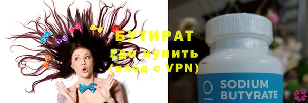 твердый Новодвинск