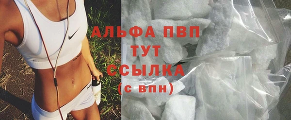 твердый Новодвинск