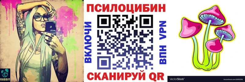 наркота  Купино  гидра как войти  Псилоцибиновые грибы GOLDEN TEACHER 
