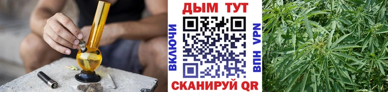 как найти   Купино  Бошки марихуана MAZAR 