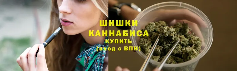 закладка  OMG ссылки  Каннабис SATIVA & INDICA  Купино 